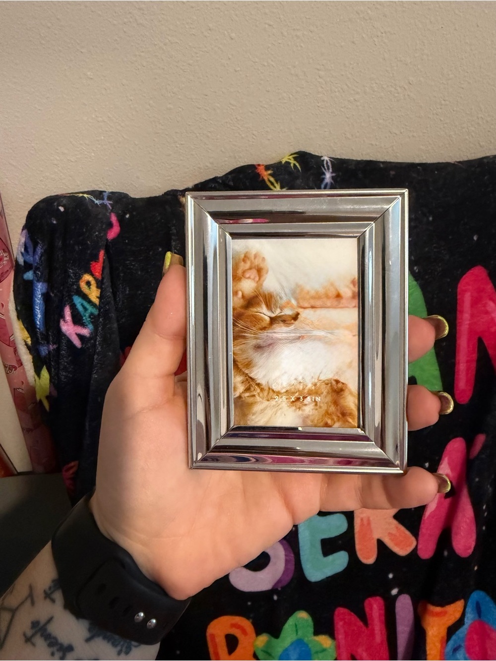 Silver Photo Frame with Orange Cat Print - Unbranded